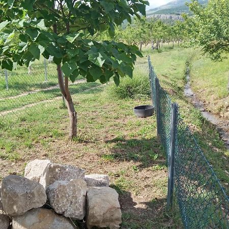 Stone House Vlasta Drniš 외부 사진