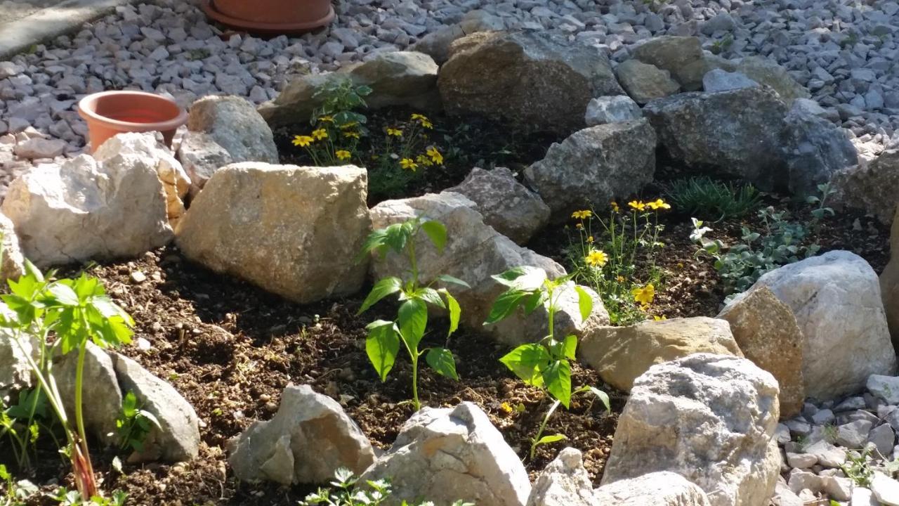 Stone House Vlasta Drniš 외부 사진