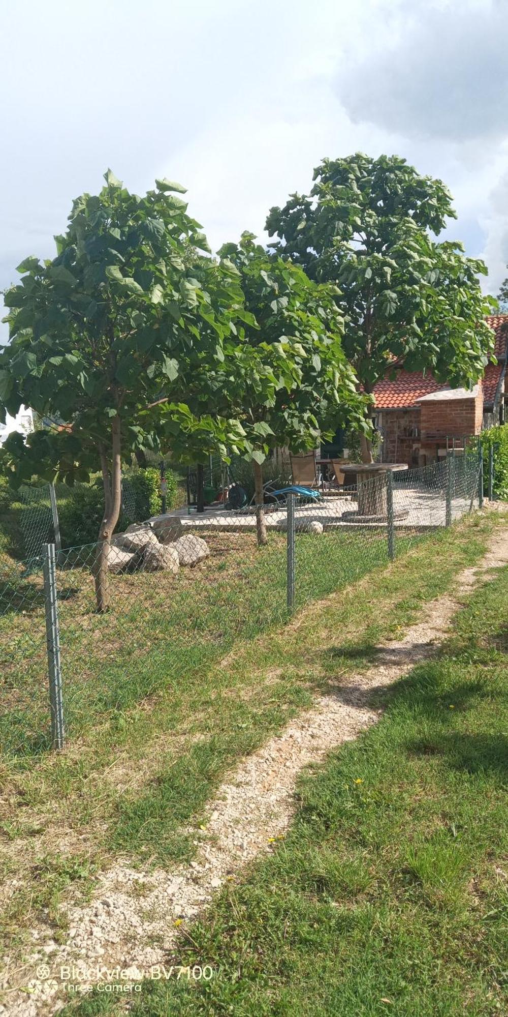Stone House Vlasta Drniš 외부 사진